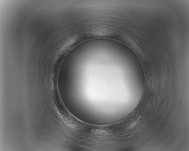 X0000060550635200511101538