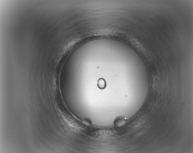 X0000060550636200511101538