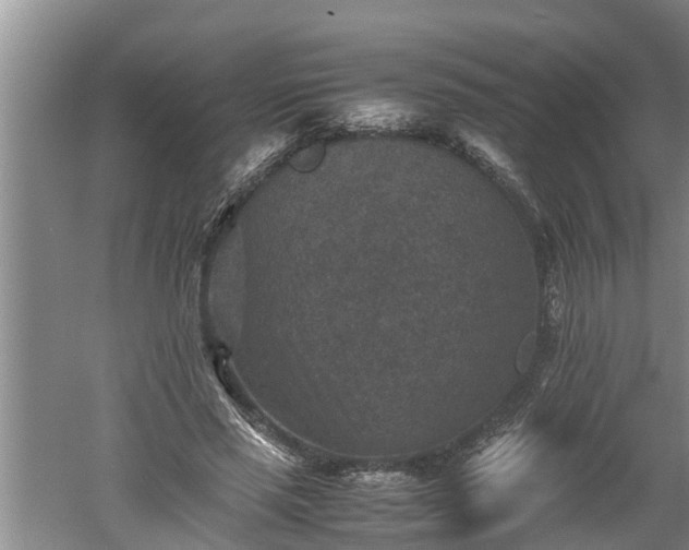 X0000060550637200511101538