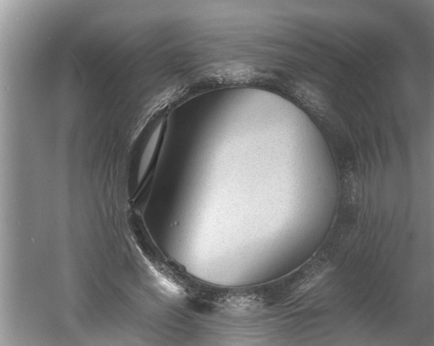 X0000060550638200511101538