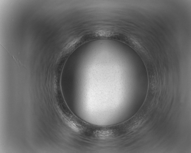 X0000060550639200511101538