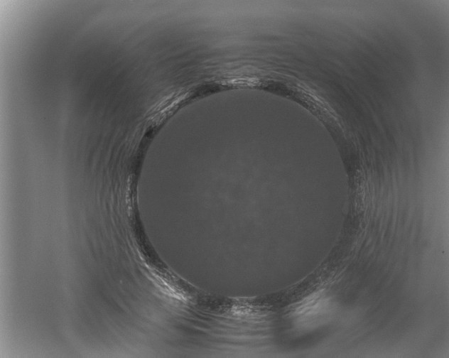 X0000060550641200511101538