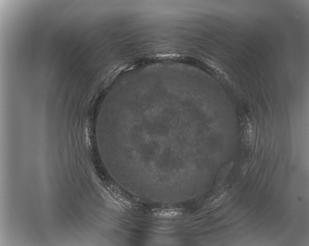 X0000060550643200511101538