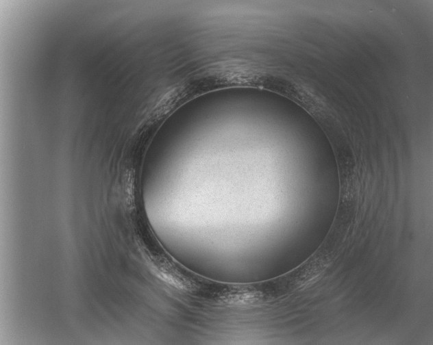 X0000060550646200511101538