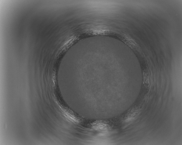 X0000060550648200511101538