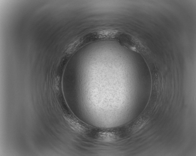 X0000060550649200511101538