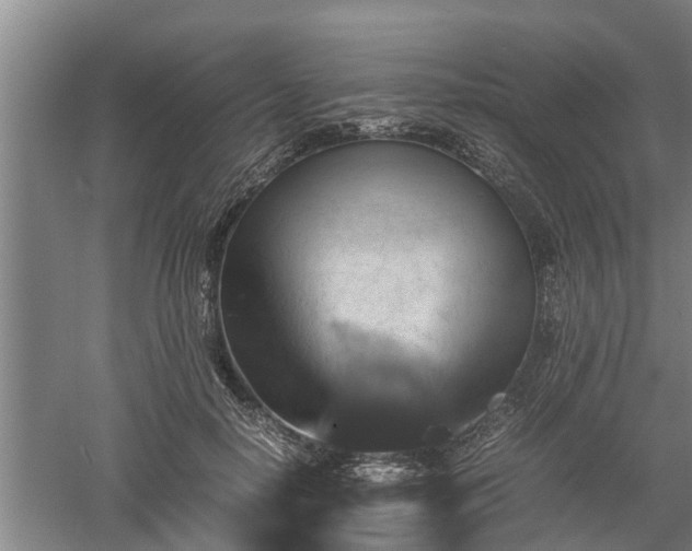 X0000060550650200511101538