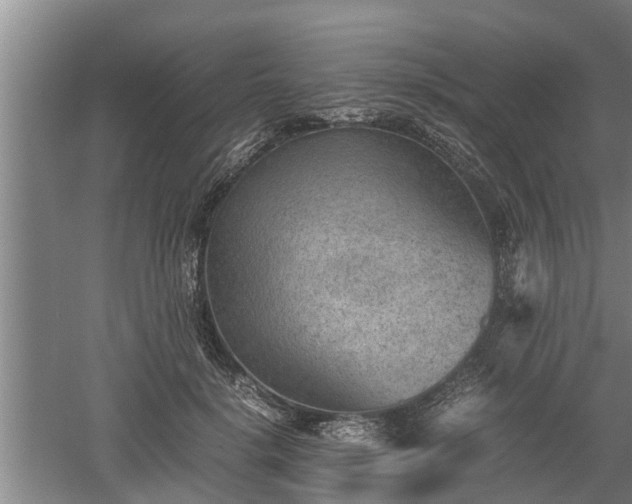 X0000060550652200511101538