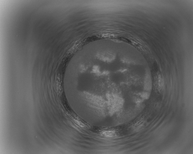 X0000060550653200511101538