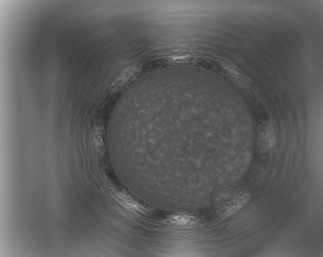 X0000060550654200511101538