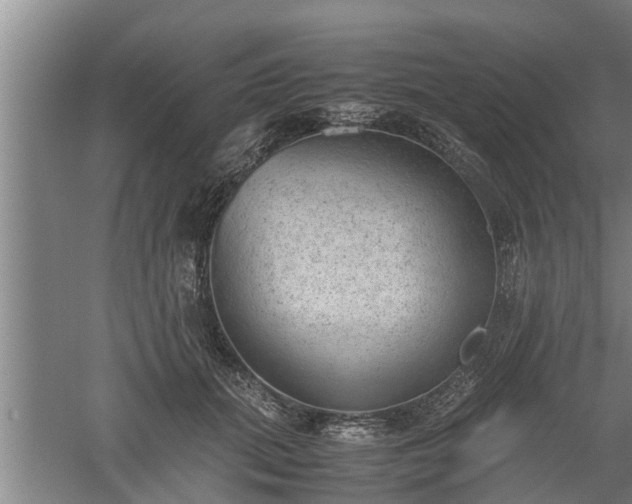 X0000060550655200511101538