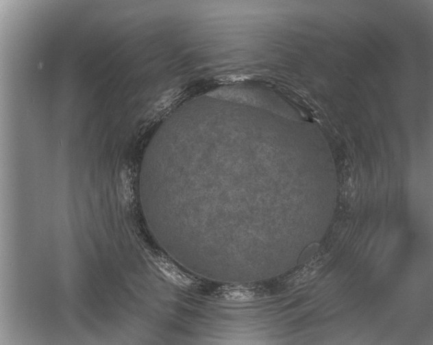 X0000060550658200511101538