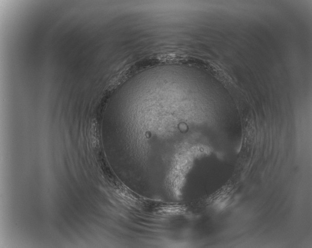 X0000060550659200511101538