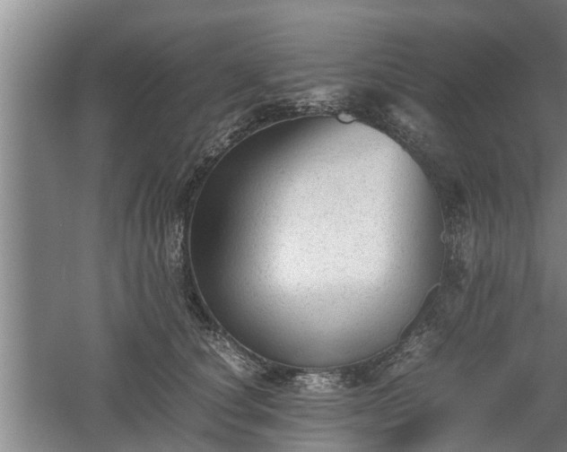 X0000060550660200511101539