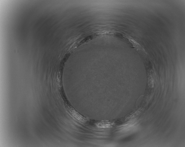 X0000060550661200511101539