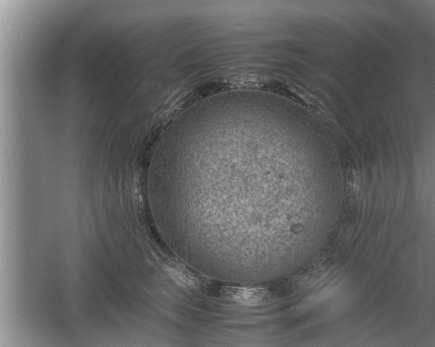 X0000060550663200511101539