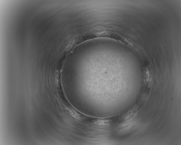 X0000060550664200511101539