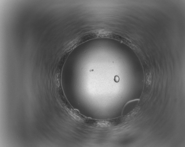 X0000060550666200511101539