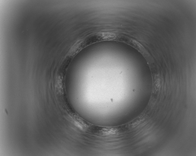 X0000060550667200511101539