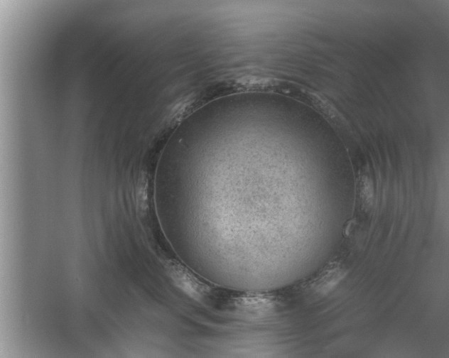 X0000060550668200511101539