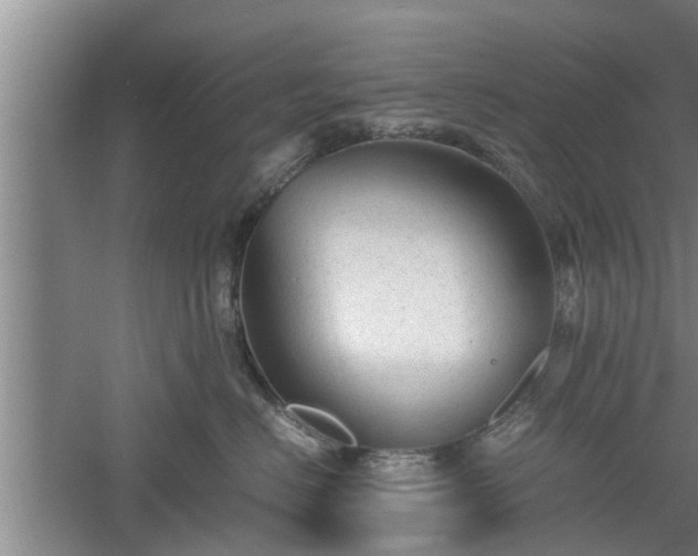 X0000060550670200511101539