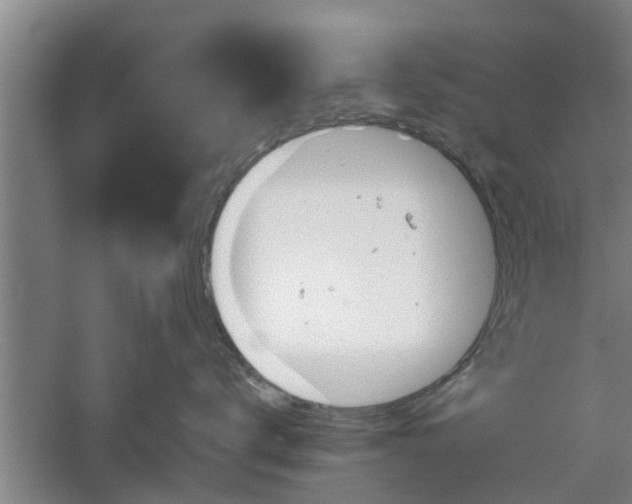 X0000060550672200511101539