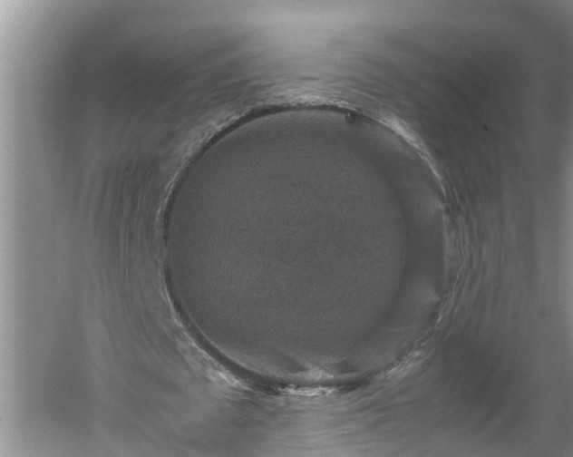 X0000060550673200511101538