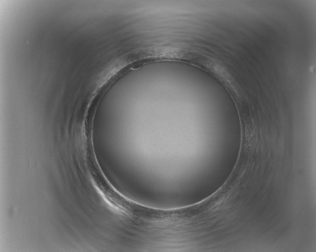 X0000060550674200511101538