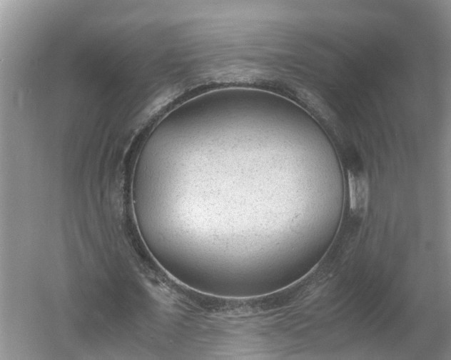 X0000060550675200511101538