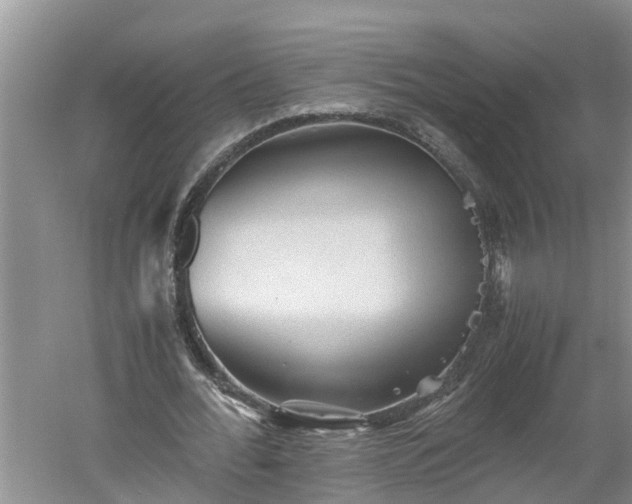 X0000060550676200511101538