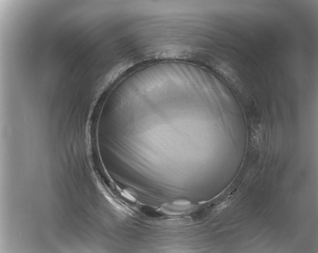 X0000060550678200511101538