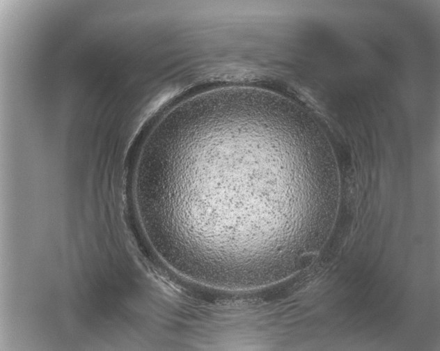 X0000060550679200511101538