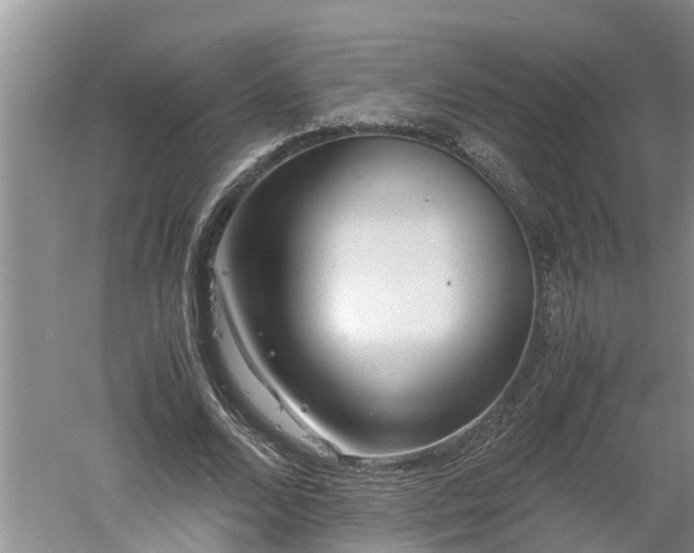 X0000060550680200511101538