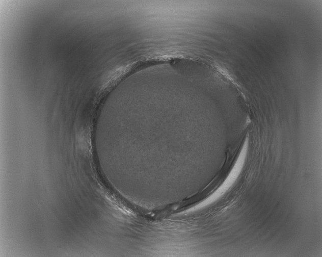 X0000060550681200511101538