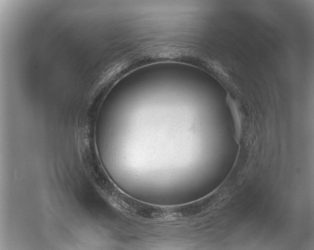 X0000060550683200511101538