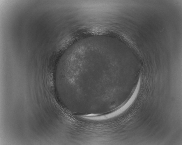 X0000060550689200511101538