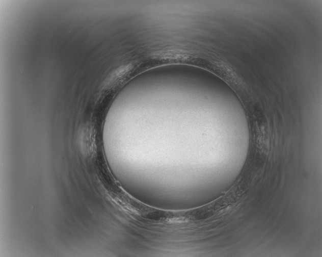 X0000060550692200511101538