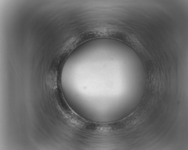 X0000060550694200511101538