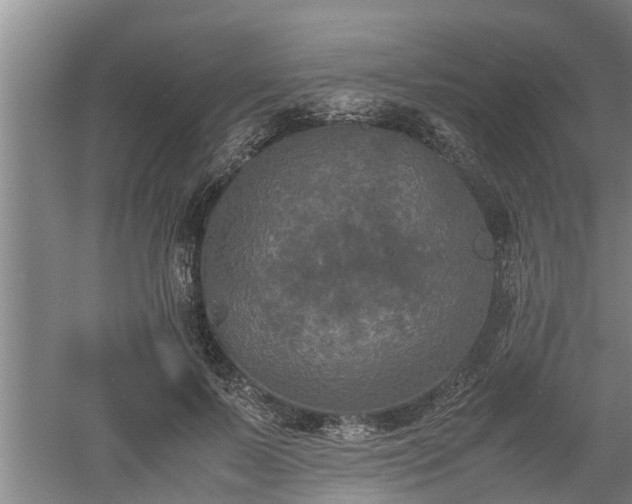 X0000060550695200511101538