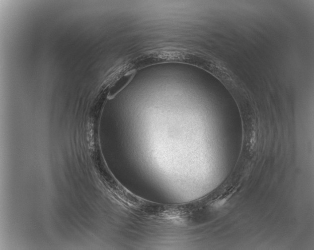 X0000060550696200511101537