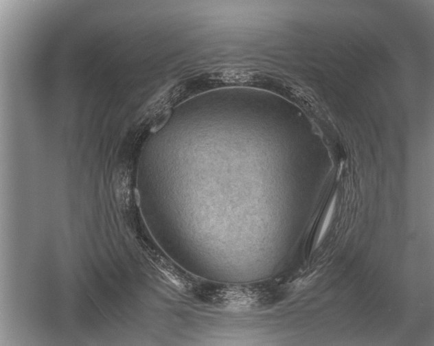 X0000060550697200511101537