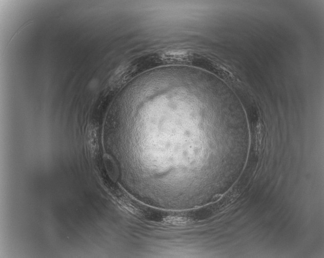 X0000060550699200511101537