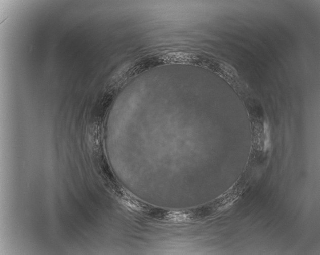 X0000060550701200511101537