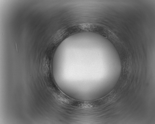 X0000060550702200511101537