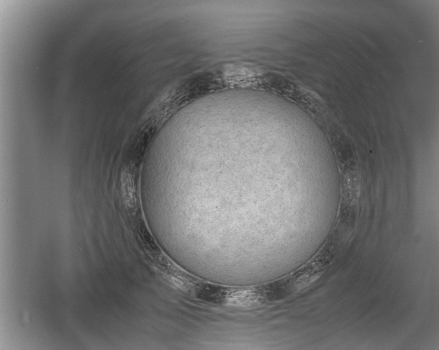 X0000060550705200511101537