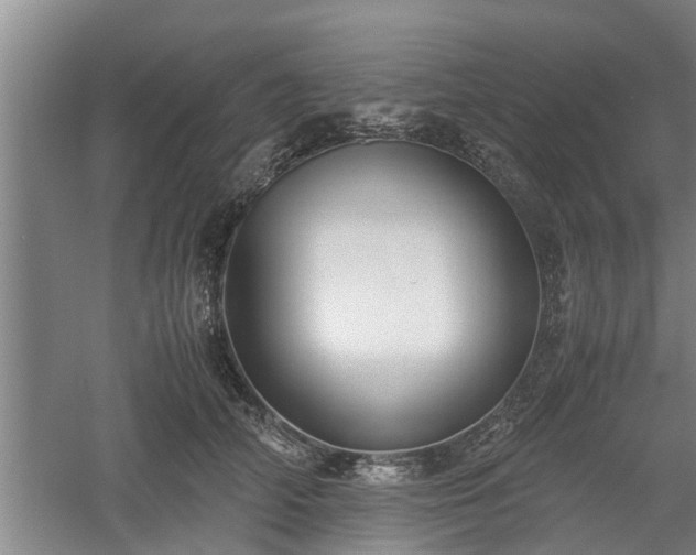 X0000060550706200511101537