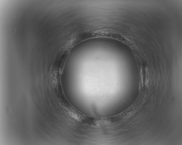 X0000060550708200511101537