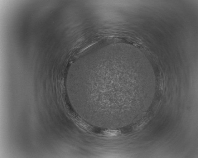 X0000060550711200511101537