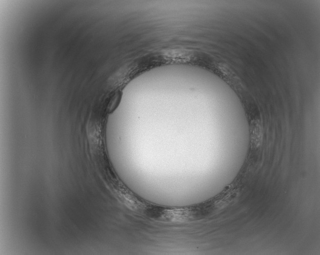 X0000060550713200511101537