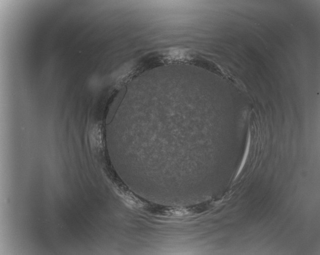 X0000060550715200511101537